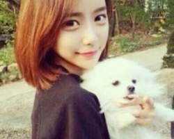 Ů�����|(zh��)�̰l(f��)�l(f��)�� �ɐ�(��i)�����^(gu��)ʢ��