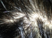 �^�l(f��)���^м����ô�k �ճ�ϴ�l(f��)�o�l(f��)С�Nʿ �^Ƥ�o������