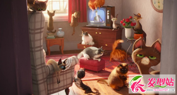 �������ܹ����