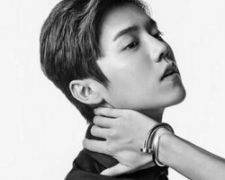 ¹�ϰl(f��)�ʹ�ȫ2024 ¹���зְl(f��)�� �y���C�̰l(f��) ����ɫ�غ�ɫ����ɫ��ɫ¹��ͬ��l(f��)�����]