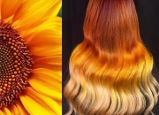 2026�����аl(f��)ɫ�A(y��)�y(c��) ����Ⱦ�l(f��)����ɫ