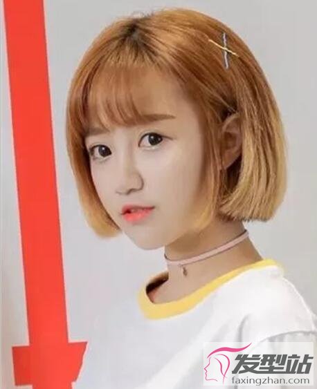 �����ɫȾ������