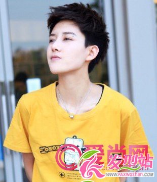 2011�����������ʽ���� չʾ��������