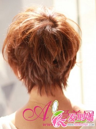  ����Բ��˫�°� �ļ��̷�С�����ˬ 