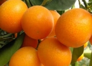 ���^�l(f��)��ʲôˮ���ã������O���o�����殐�������@5�N���^�l(f��)�õ�ˮ�����]��ֹÓ�l(f��)���ưl(f��)�|(zh��)