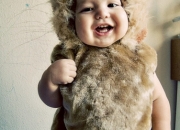 2026�Ќ����l(f��)�� ������̫�l(f��)�͈DƬ