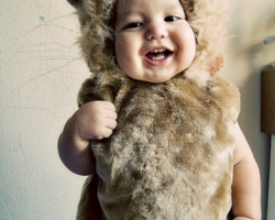 2026�Ќ����l(f��)�� ������̫�l(f��)�͈DƬ