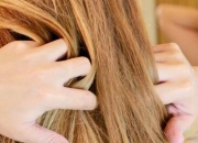 4�г���Ч�o�l(f��)���� С�YŮ�،W ʡ�°��Fɳ���M��