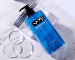 Wxe��ʽ�����ʿϴ��ˮ��ô��?2026�겻������ͷмչ����������